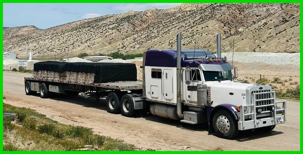2000 Peterbilt 379 & Wilson Aluminum Flatbed Trailer